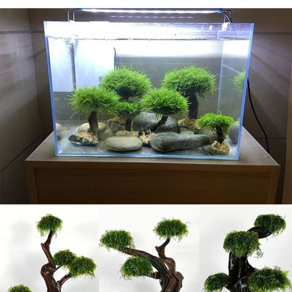 Fish tank greening wood frame  - огляд і ціна Planted Aquarium With Driftwood