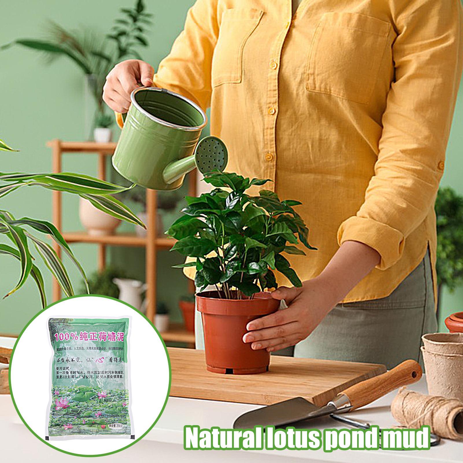 200g/bag Aquarium Soil Natural - огляд і ціна Aquarium Plant Nursery