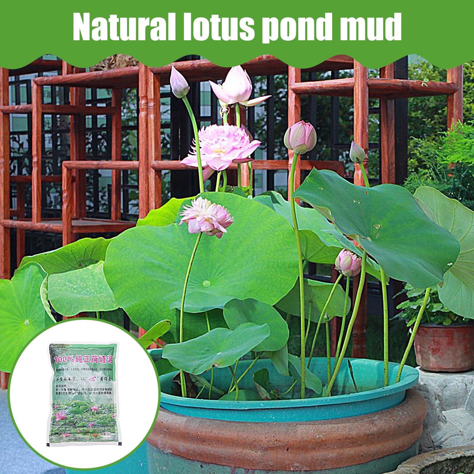 200g/bag Aquarium Soil Natural - огляд і ціна Aquarium Plant Nursery