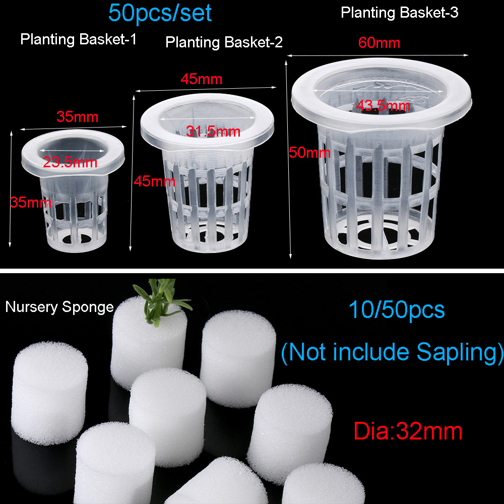 10/50pcs Garden Supplies Aquar - огляд і ціна Aquarium Plant Nursery