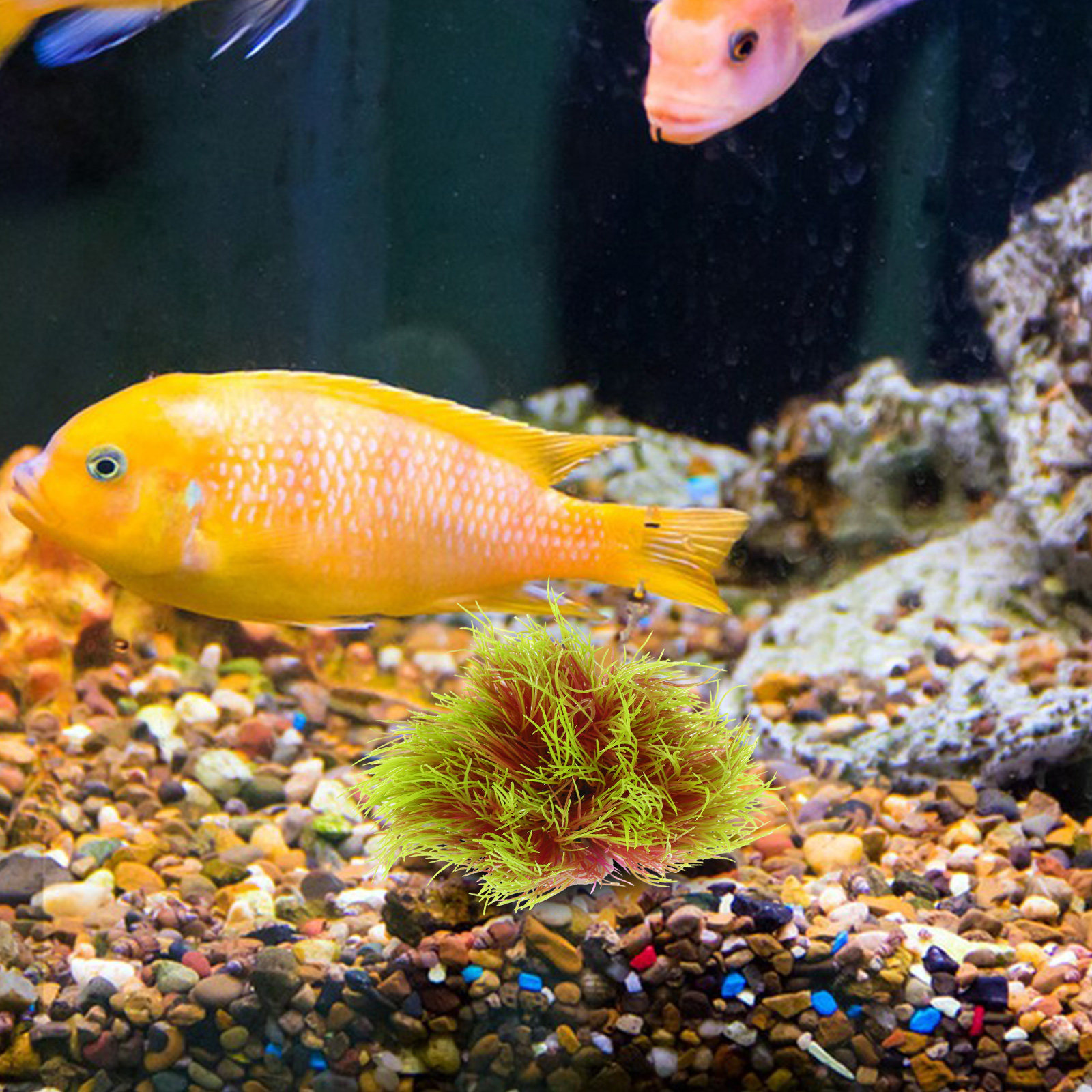 High Simulation Aquarium Plant - огляд і ціна Aquarium Planted Setup