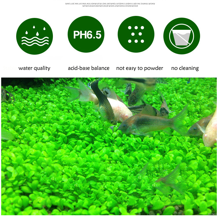 Aquarium Plant Seeds Soil Fish - огляд і ціна Aquarium Plant Fertilizer