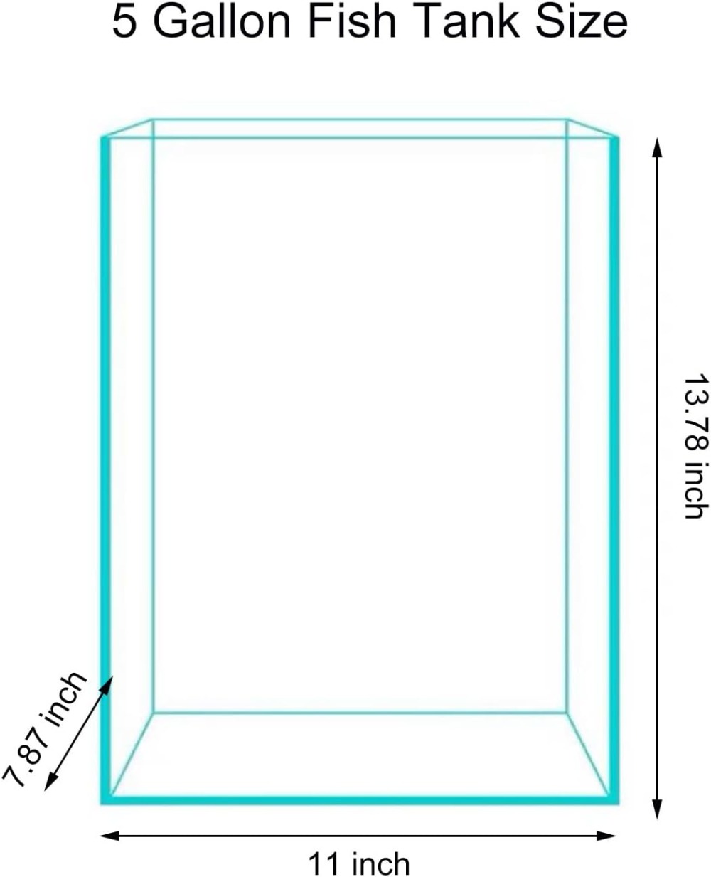 5 Gallon Glass Fish Tank, Easy - огляд і ціна Planted Aquarium Care