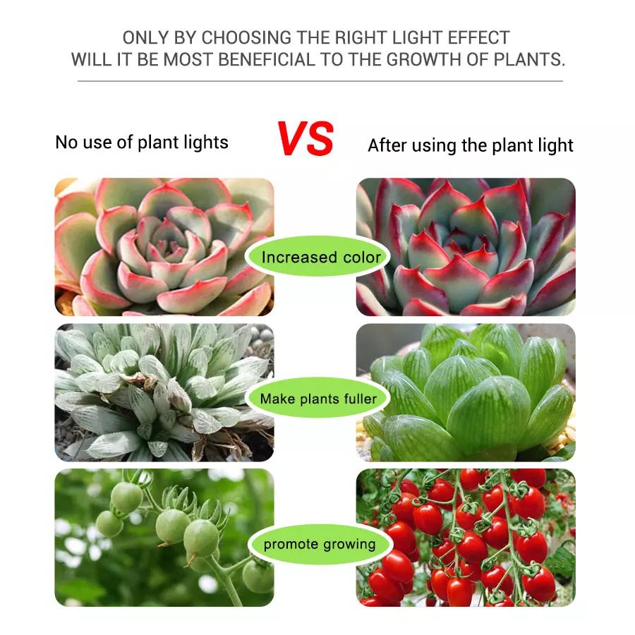 LED Strips 5V USB Phyto Tape I - огляд і ціна Planted Aquarium Hours