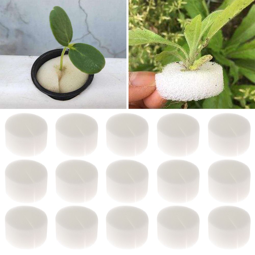 10/50pcs Durable Planting Aqua - огляд і ціна Aquarium Plant Nursery