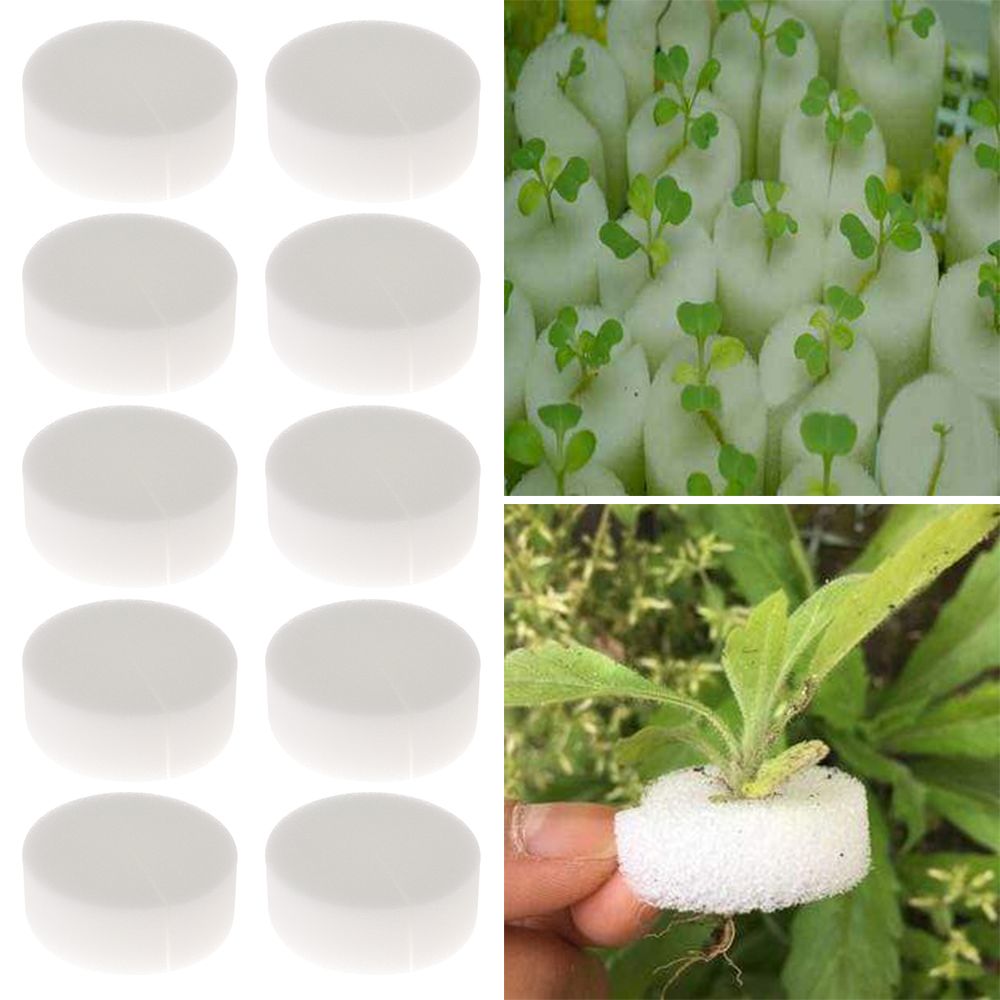 10/50pcs Durable Planting Aqua - огляд і ціна Aquarium Plant Nursery