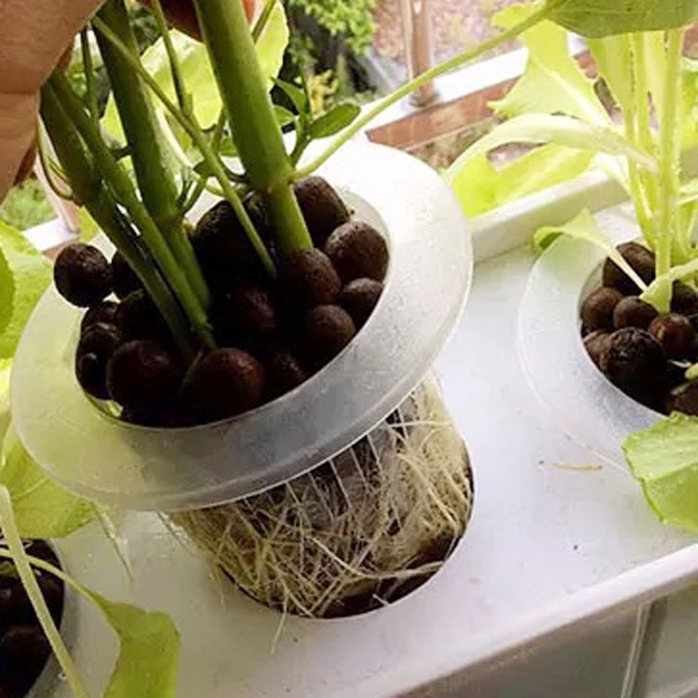 10/50pcs Durable Planting Aqua - огляд і ціна Aquarium Plant Nursery