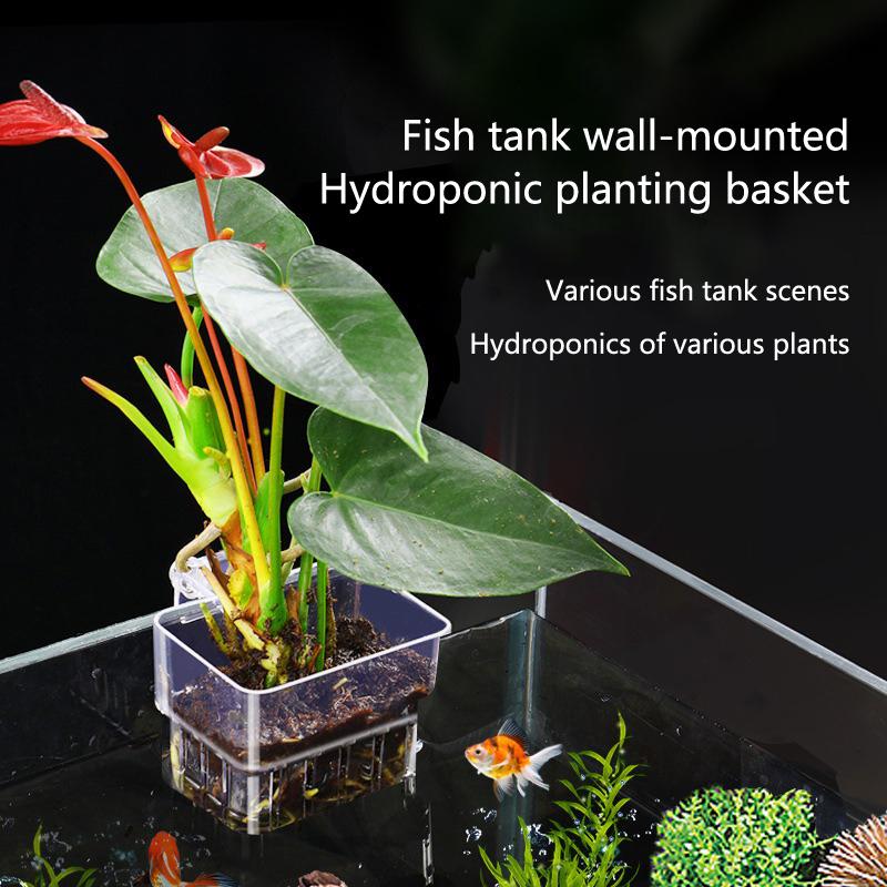 Aquarium Hydroponic Planting C - огляд і ціна Aquarium Planted Setup