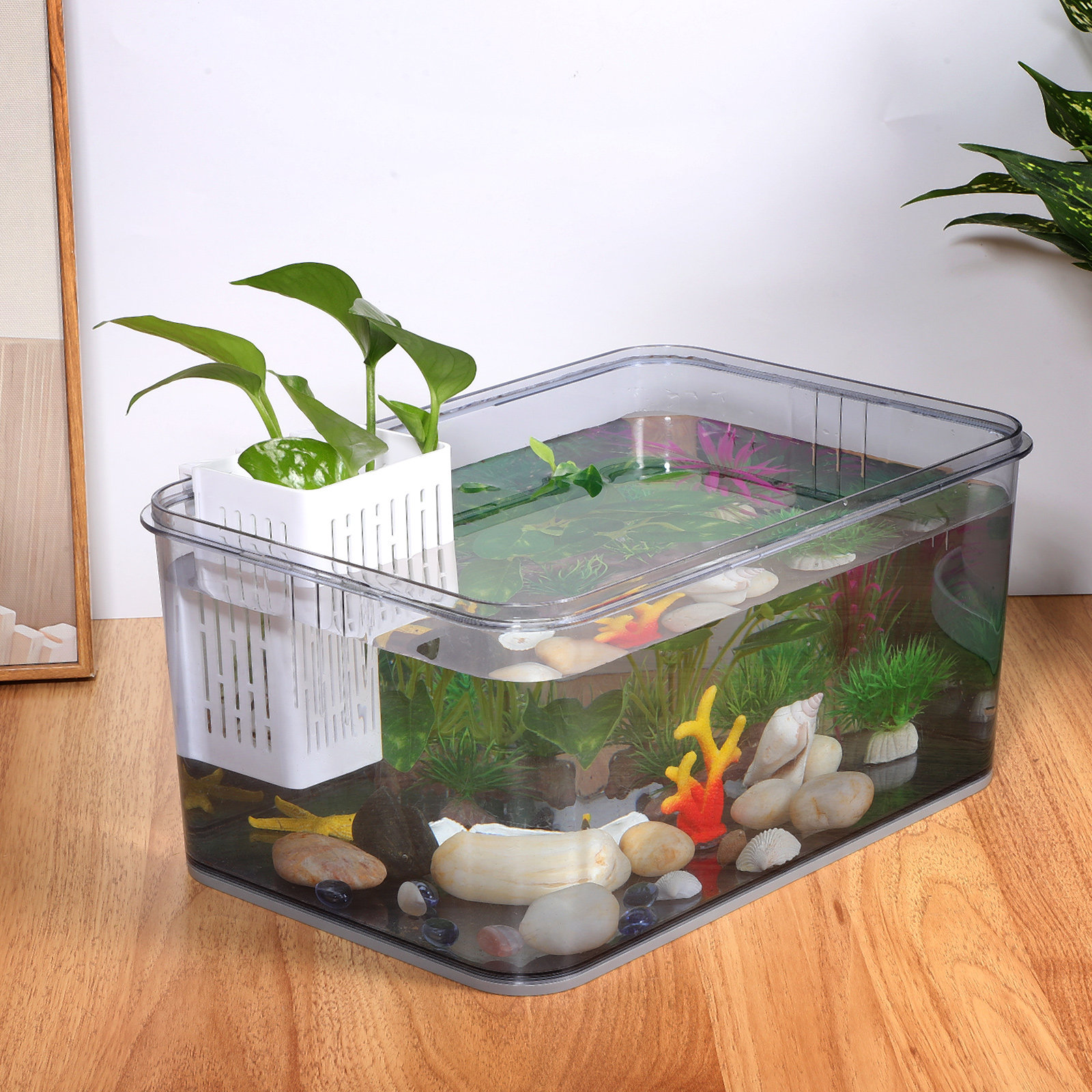 2Pcs Aquatic Plant Basket Hang - огляд і ціна Aquarium Planted Setup