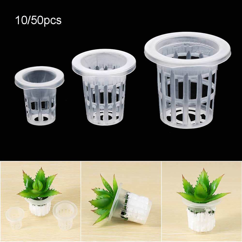 10/50pcs Garden Supplies Plant - огляд і ціна Aquarium Plant Nursery