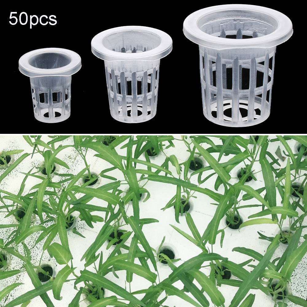 10/50pcs Garden Supplies Plant - огляд і ціна Aquarium Plant Nursery